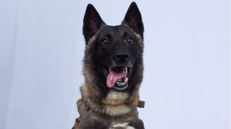 Ponosni Trump: Ovo je divan pas koji je sudjelovao u hvatanju vođe ISIL-a